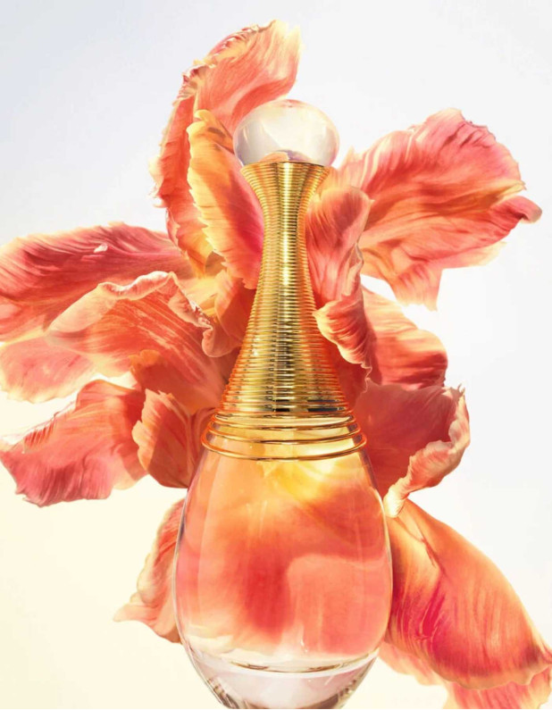 J'adore Infinissime Edp